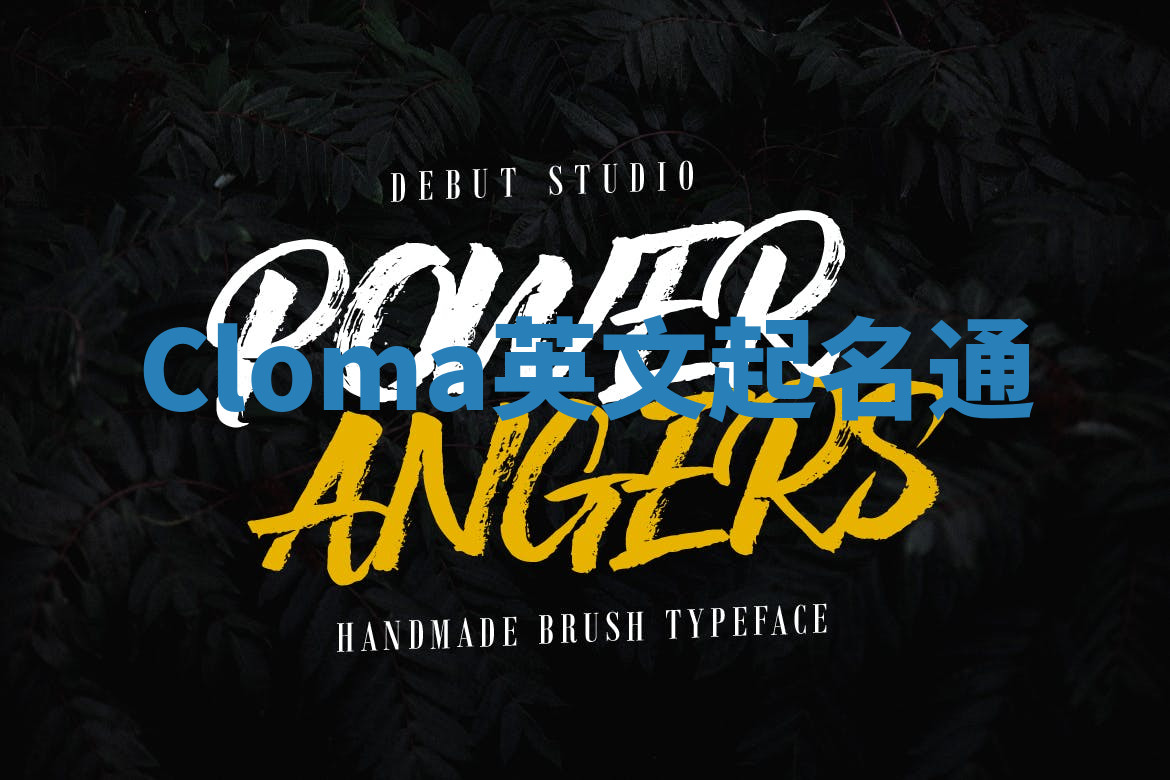 Cloma英文起名通 Cloma英文起名通