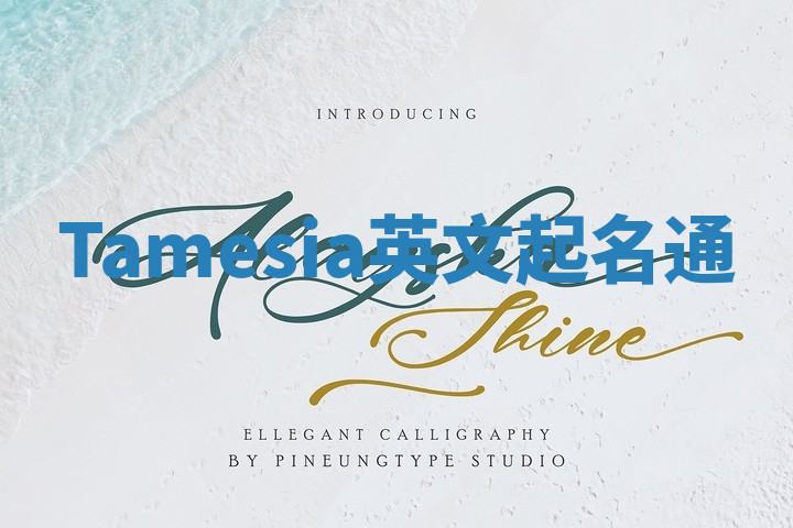 Tamesia英文起名通 Tamesia英文起名通