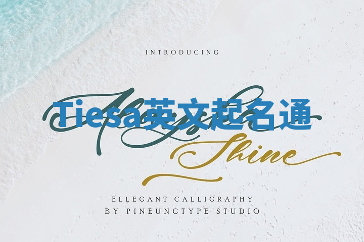 Tiesa英文起名通 Tiesa英文起名通